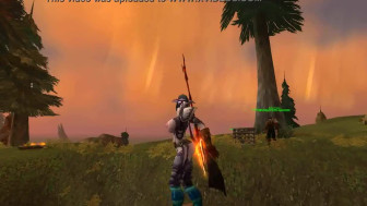 Older mod) Night elf ninja cosplay
