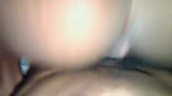 Another pussy
