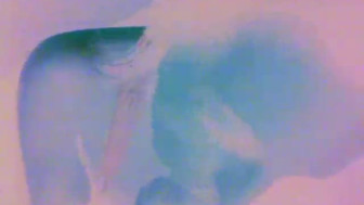 Animated schlong suckin
