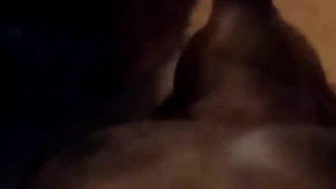 Amateur swallows
