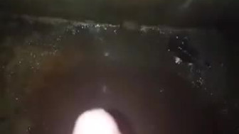 Sex
