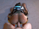 Tracer Doggystyle POV GIF